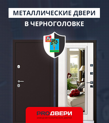 Металические двери в Черноголовке