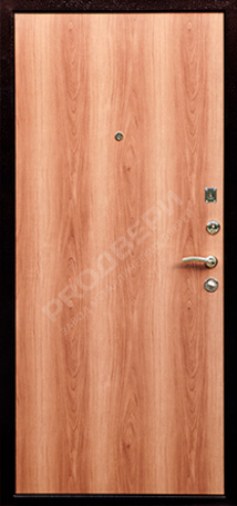 Фотография «Дверь Винилискожа №4»